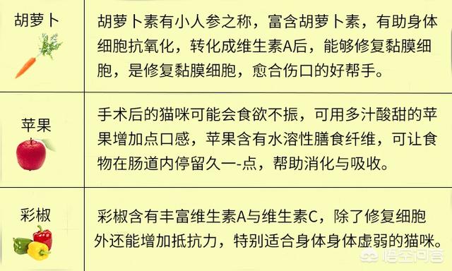 猫咪产后缺乳怎么办:我家母猫正在生小猫没有奶水怎么办刚生第一？