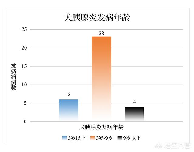 狗狗吞21个奶嘴手术时惊呆医生:胰腺罢工！狗狗情况危急？