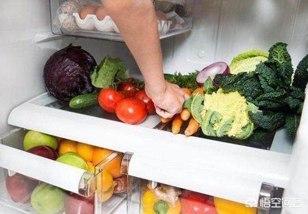 出远门时，为什么要给冰箱里放一枚硬币？插图80