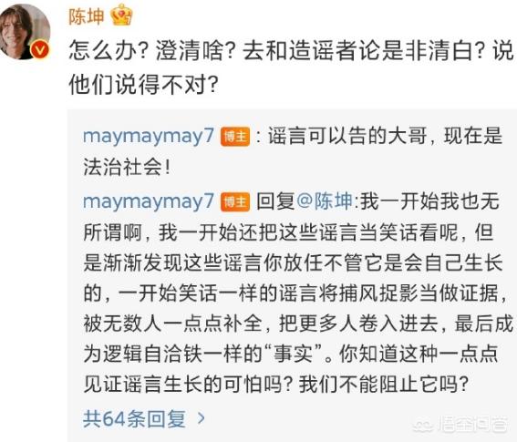 陈坤儿子生母是何琳:为什么说陈坤儿子生母之谜至今未解？
