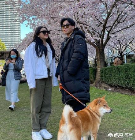 陈坤儿子生母是何琳:为什么说陈坤儿子生母之谜至今未解？