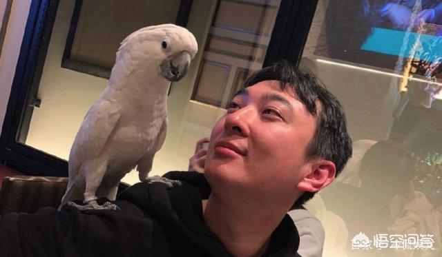 战狼吴京:怎么回事，吴京起诉“战狼”