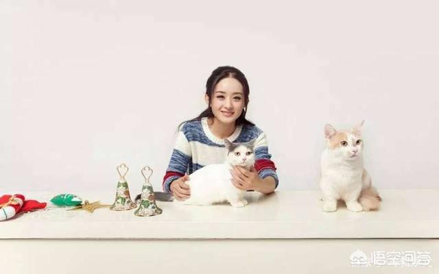 文章否认恋情:赵丽颖成功生子，从官宣怀孕到生子仅3个月，明星否认有可信度吗