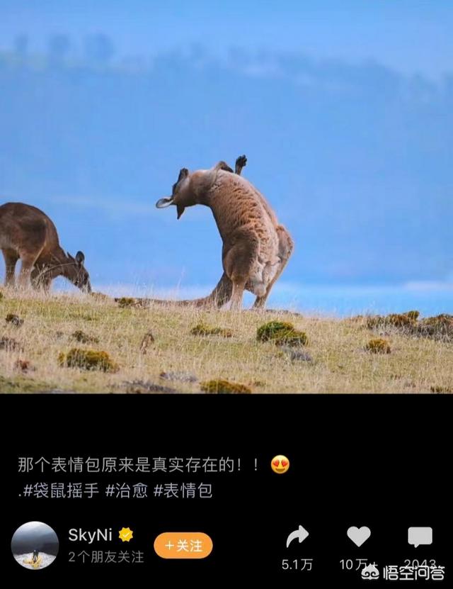 管晨辰个人资料简介(管晨辰拟被保送浙江大学)-第3张图片