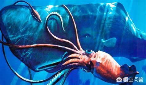 头条问答 - 潜艇在水下发射导弹时会不会不小心击中鲸鱼,鲨鱼或者八爪