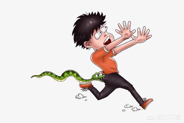 森林王蛇:农村里蛇越来越多，种什么植物可以防止夏天蛇进院子？