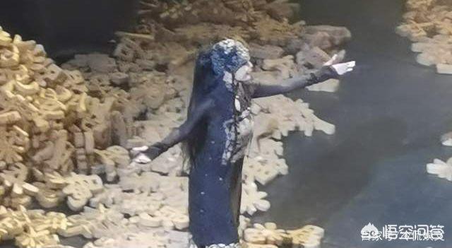 杨丽萍侄女小彩旗:杨丽萍10年都戴帽子,还以为是装饰品,摘下帽子后,你啥感觉
