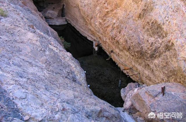 非洲肺鱼:与世隔绝5万年，全球仅剩38条的“沙漠鱼”它们生命力有多强？