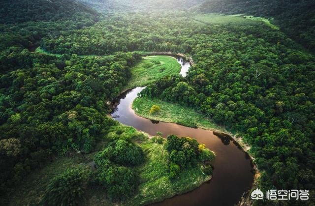 贵州挖出4吨大蛇 山洞，亚马逊巨蟒是怎么回事，真实存在吗