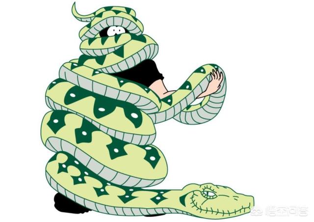蟒蛇事件:亚马逊巨蟒是怎么回事，真实存在吗？