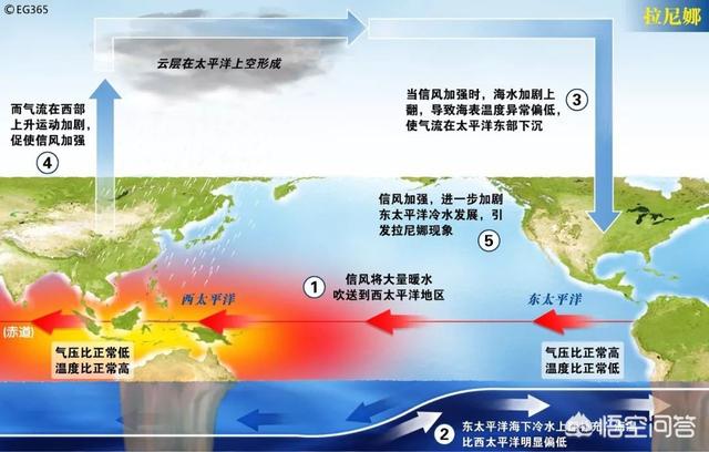 灿都减弱为台风级，两个或两个以上的台风有可能合并成一个吗，为什么？