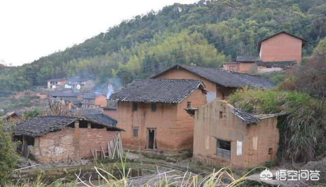 子思桥村还能养蛇吗，世界第一蛇村在浙江，300万条蛇出没民居，难道不会咬村民吗