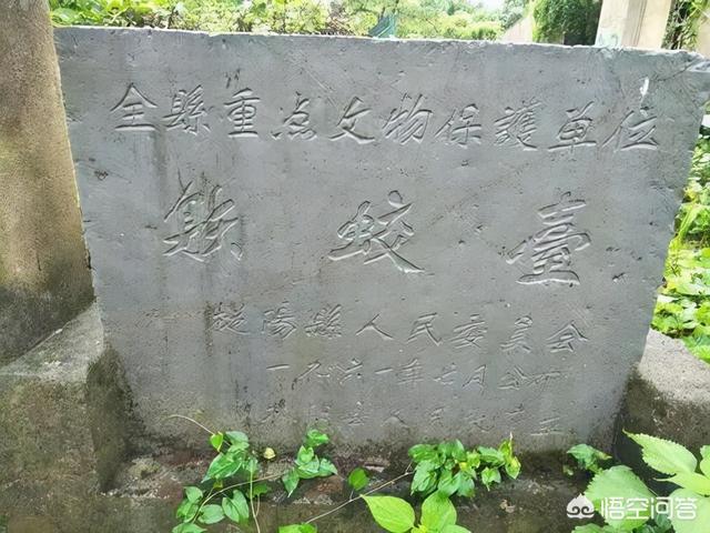 汉武帝南巡时,曾射杀的那条“蛟”,究竟是什么动物？