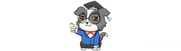 狗的性器官和人的性器官:给公狗做绝育能不能改变狗狗的坏习惯？
