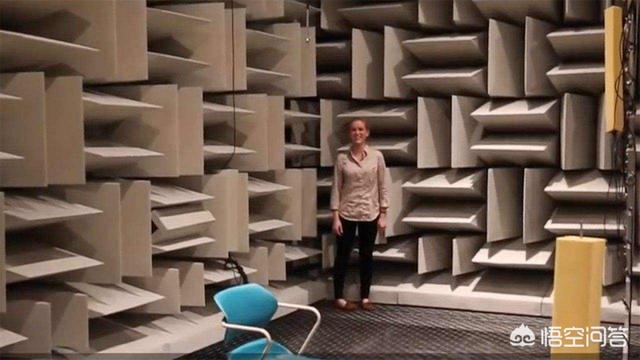 为什么有人说很少有人能在绝对静音无声的密室里撑过1小时？插图7