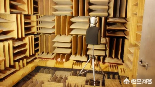 为什么有人说很少有人能在绝对静音无声的密室里撑过1小时？插图8