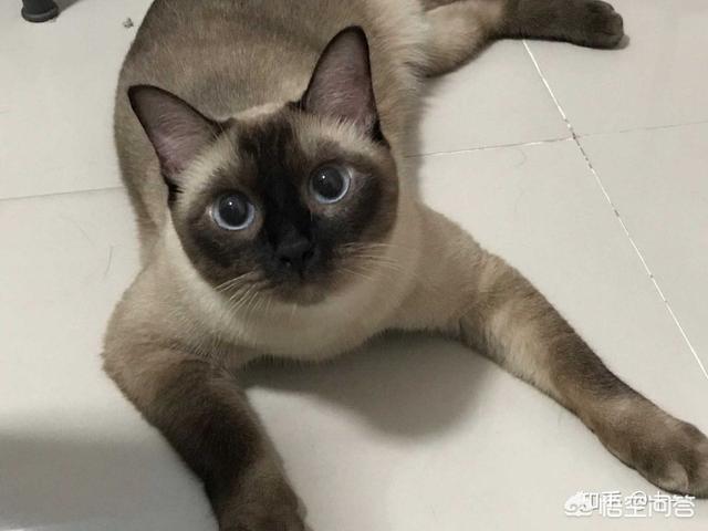 探探的女生靠谱么？