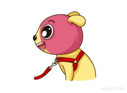 国内好的牵引绳:呼和浩特免费发放狗嘴套和牵引绳，你怎么看？