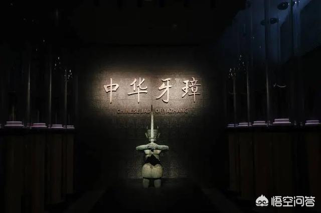 丽纹龙蜥繁殖:恐龙是怎么死的？为什么？