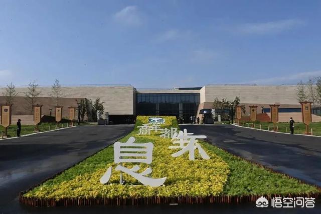 丽纹龙蜥繁殖:恐龙是怎么死的？为什么？
