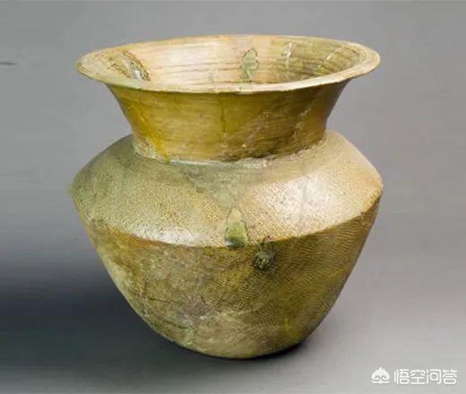丽纹龙蜥繁殖:恐龙是怎么死的？为什么？
