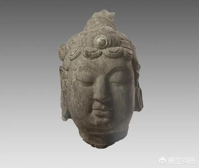丽纹龙蜥繁殖:恐龙是怎么死的？为什么？