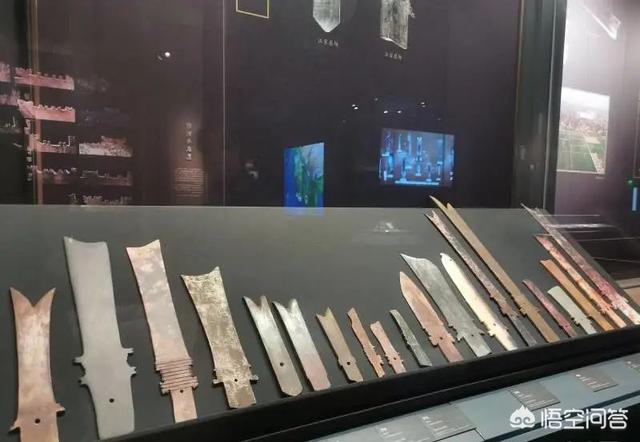 丽纹龙蜥繁殖:恐龙是怎么死的？为什么？