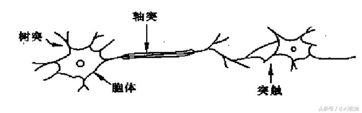 人工神经网络的本质（物理或数学意义）是什么？