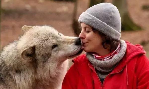 如何训练狗狗接飞盘视频教程:边牧一岁了，该怎样教他接飞盘？
