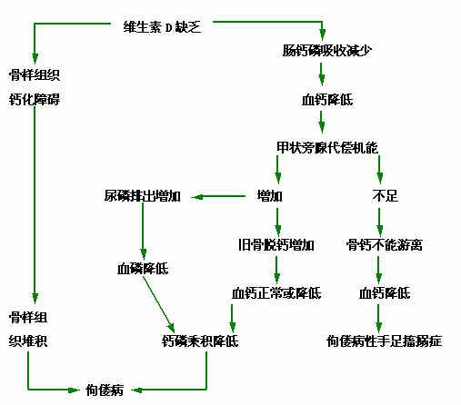 佝偻病缺什么:维生素D缺乏性佝偻病的病因以及临床表现是什么？