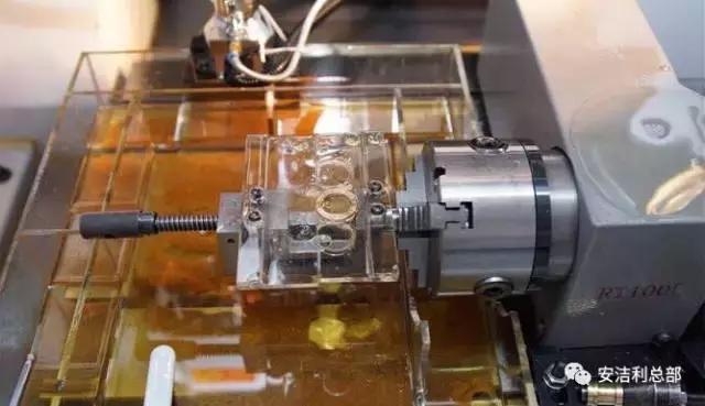 宝格丽戒指真假(宝格丽戒指价格及图片)