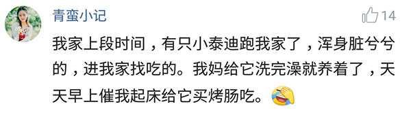 养猫指南百度文库:有什么事是你养了宠物后才知道的？