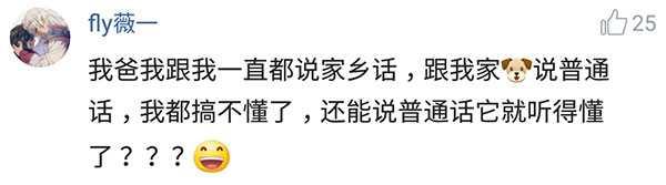 养猫指南百度文库:有什么事是你养了宠物后才知道的？