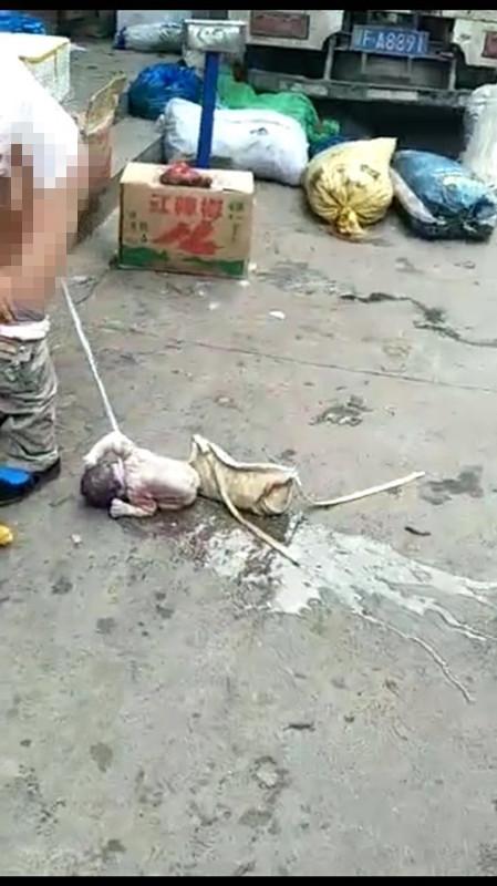 卡戴珊2小时截图:奥多姆与卡戴珊发生过什么故事