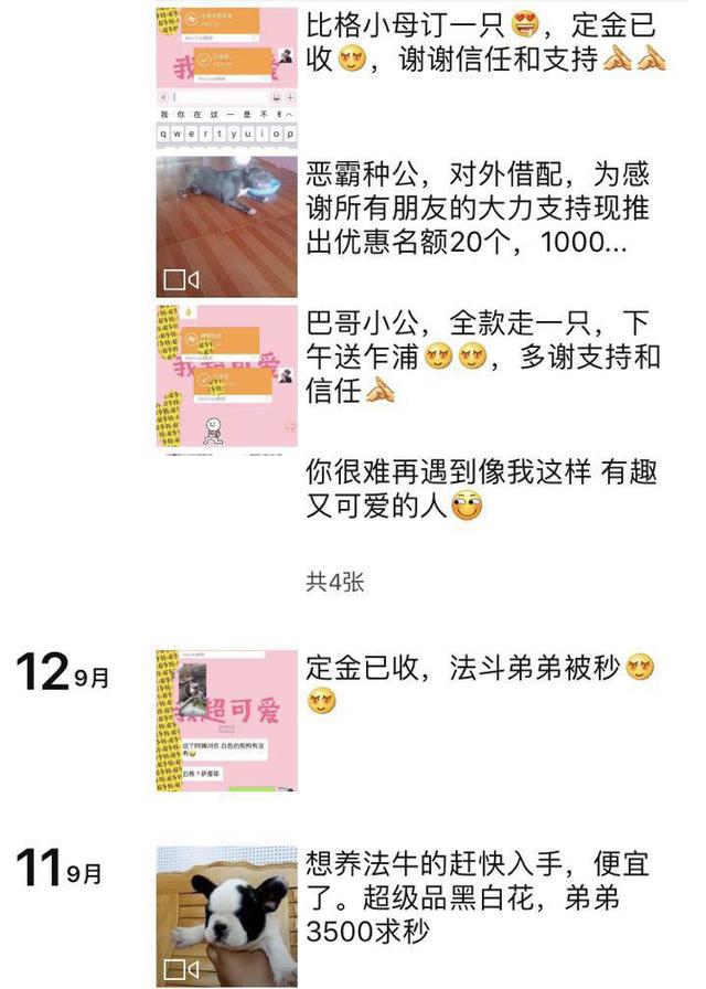 宠物诊所:开一家宠物店能赚多少钱？ 宠物诊所的故事