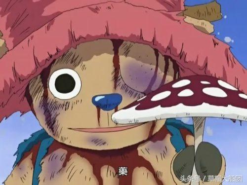 海贼王有哪些经典语录？