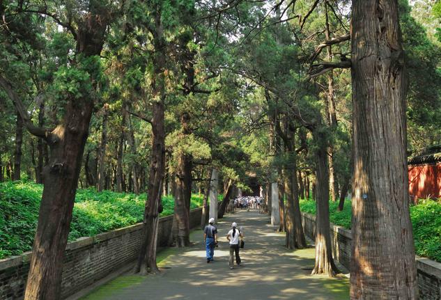 圣贤孔子鸟 济宁:山东济宁旅游攻略好玩景点推荐？