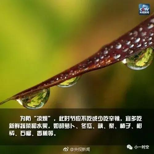 寒露蜜桃(寒露蜜桃子好吃吗)