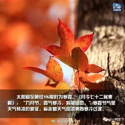 寒露蜜桃(寒露蜜桃子好吃吗)