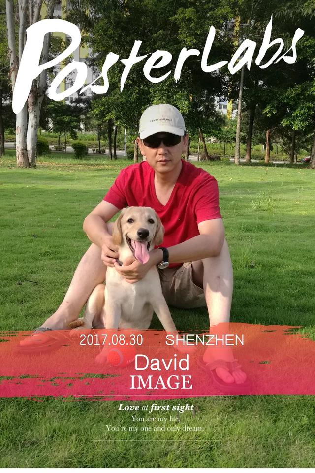 母的拉布拉多好养吗:拉布拉多犬真的很能吃吗？