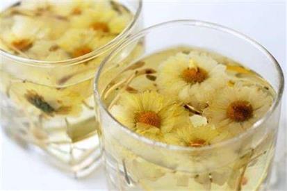 白菊花茶,白菊花和黄菊花有什么不同？