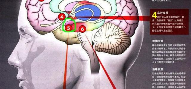 如何识别:如何识别图片文字 我们的大脑是如何识别不同人的脸的？