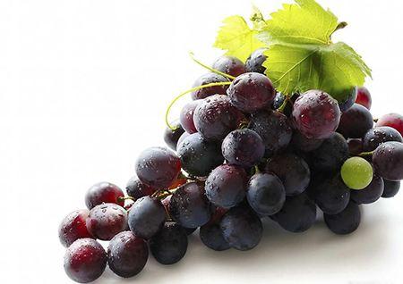 蓝宝石对身体的好处,蓝宝石葡萄为何受大众欢迎？