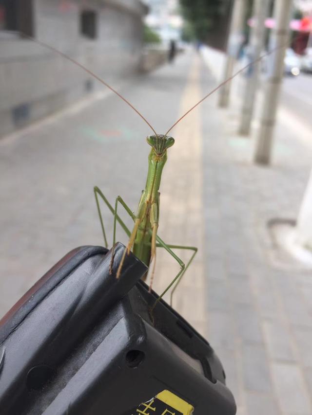 什么叫丧德？