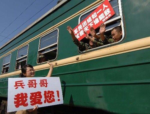 地震后的狗狗高清:汶川地震“猪坚强”住一室一厅还有专人伺候，你怎么看？ 地震后的狗狗