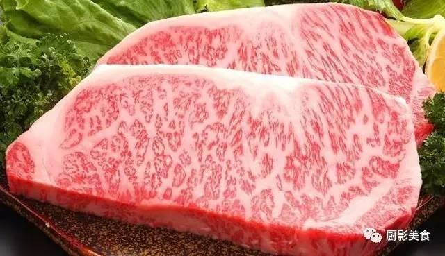 十大世界上最贵的狗排名图片欣赏:世界上最昂贵的肉有哪些？