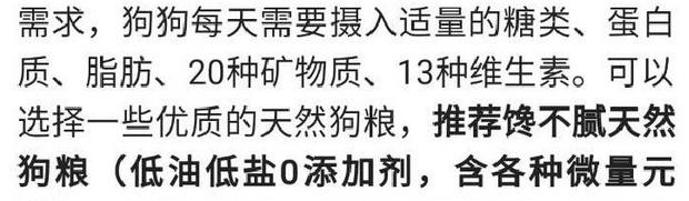 斗牛犬性格:斗牛犬为什么那么大脾气？ 斗牛犬性格