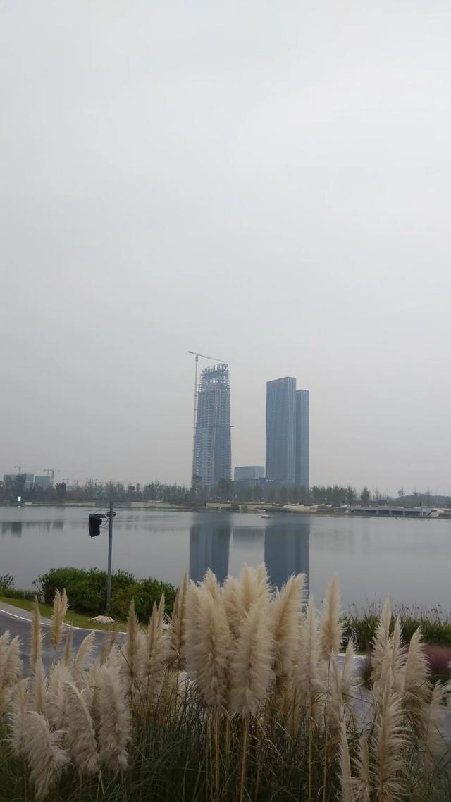 成都钻石小鸟之类的:成都有什么旅游景点适合孩子的？