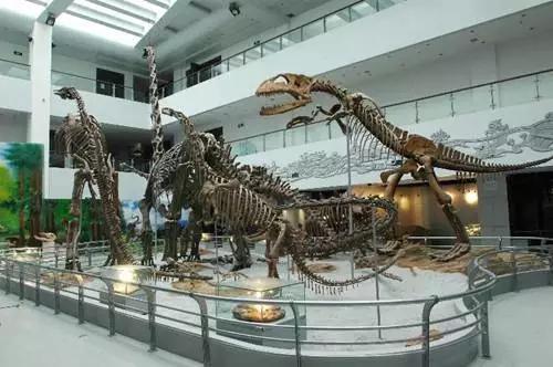江豚宝宝长江戏水萌萌哒:带孩子旅游，去武汉什么地方好？