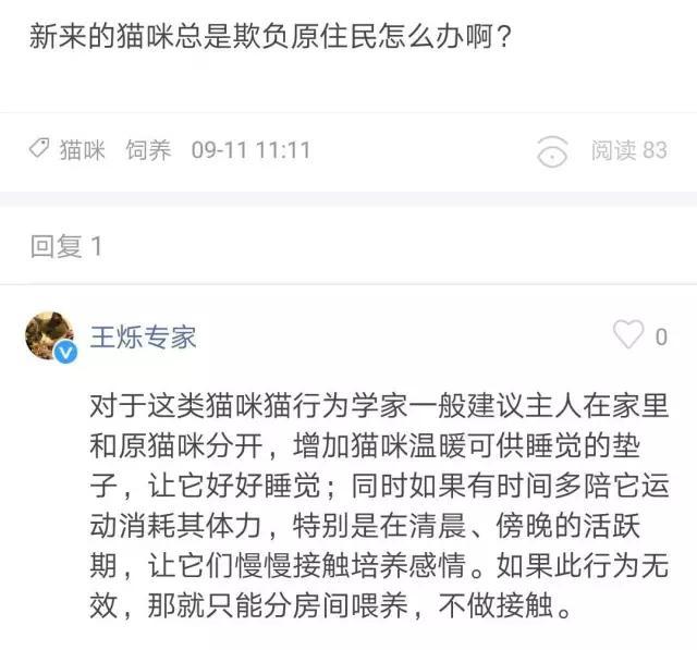 两只短腿猫打架:你见过猫咪之间打架吗？它们一般都因为什么？你会去劝架吗？ 两只短腿猫打架的视频